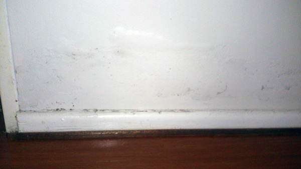 Rising Damp - Before